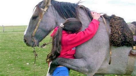 8 Beautiful Ways That Horses Let You Know They Love You