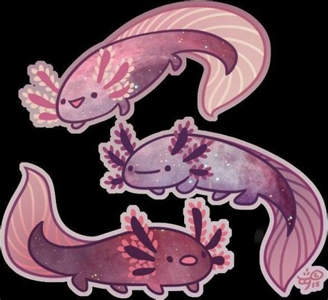 Image Result For Chibi Axolotl Cute Pokemon Axolotl Chibi