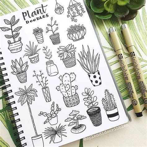 Pin On Plants