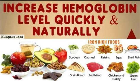 How To Increase Hemoglobin Complete Howto Wikies