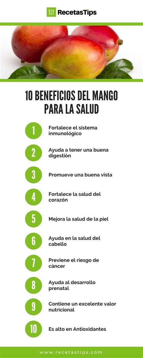 10 Propiedades Y Beneficios Del Mango Para La Salud Beneficios De La