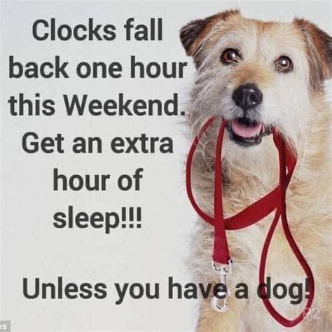 Clocks Fall Back One Hour This Weekend Bits And Pieces