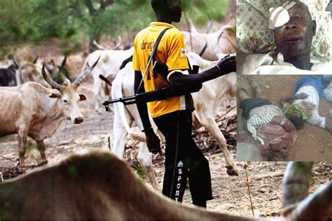 Farmers Narrate How Fulani Herdsmen Kill Rape Ogun Residents Gossip