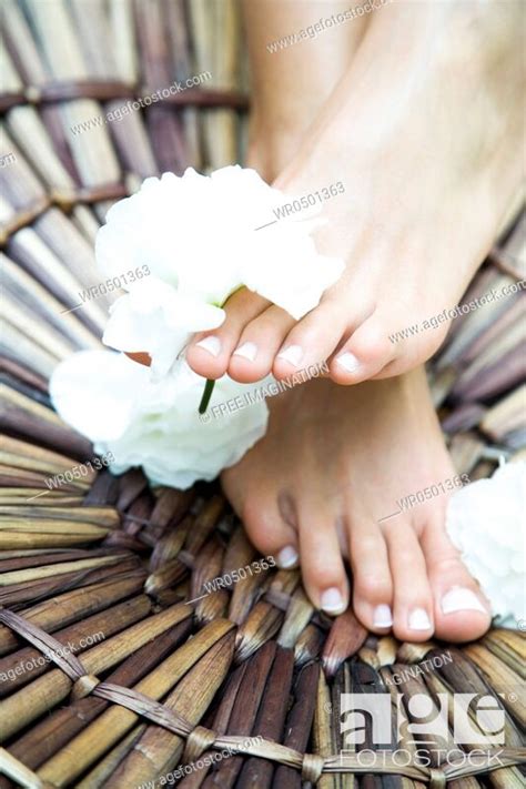Feet With Flowers Stock Photo Picture And Royalty Free Image Pic