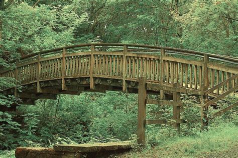 Wooden Bridge In Forest Photograph By Watto Photos Fine Art America