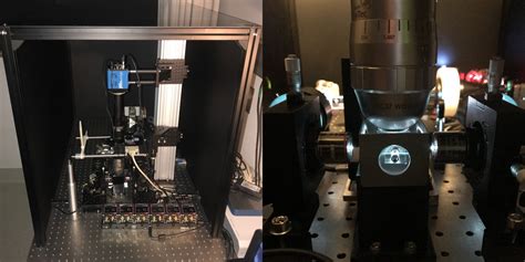 Light Sheet Microscopy Olympus Shelly Lighting