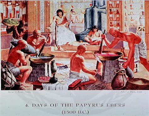 the ebers papyrus most famous plant medicine encyclopedia of ancient egypt ancient pages