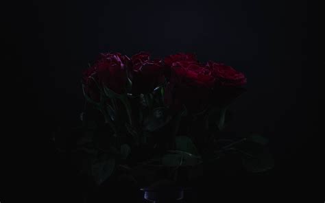 Download Wallpaper 3840x2400 Roses Flowers Bouquet Dark 4k Ultra Hd