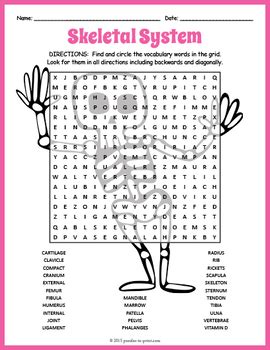Thin filaments of a muscle fiber. Human Skeletal System Word Search Worksheet by Puzzles to ...