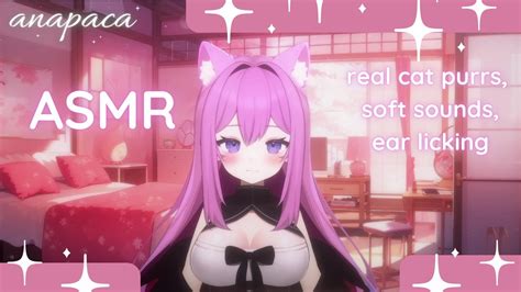 ♥ Asmr Cat Girl Gives You Real Cat Purrs And Ear Licks Soft Speaking