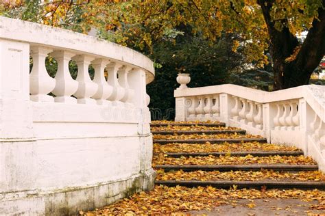 Old Stone Staircase With Fallen Leaves Stock Image Image Of Stone