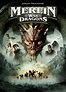 Merlin und der Krieg der Drachen: DVD oder Blu-ray leihen - VIDEOBUSTER