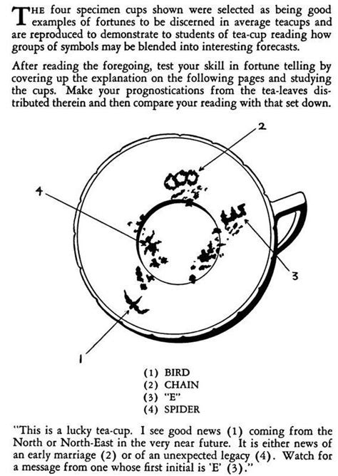 What Does Read The Tea Leaves Mean The Tea Reading Tasseography