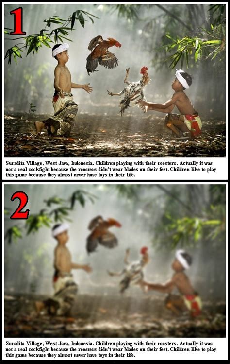 Contoh Soal Tentang Respirasi Pilihan Ganda Dan Pembahasannya - Contoh