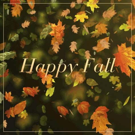 Animated Falling Leaves  Transparent Fall Leaves  Download Free