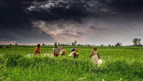 Late But Not Light Monsoon Spreads Fast Across India Story Pitch