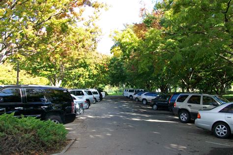 Local Ecologist Cooling Parking Lots Trees Face Competition From Pv
