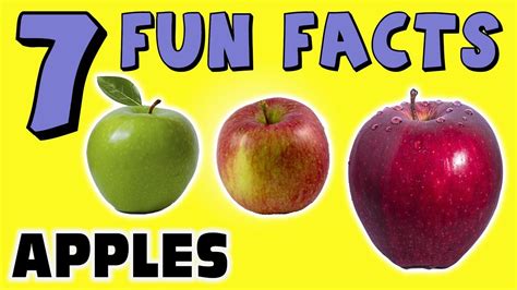 Sometimes the waves are wide and slow. 7 FUN FACTS ABOUT APPLES! APPLE FACTS FOR KIDS! Granny ...