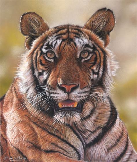 Tiger Paintings Tiger Painting Tiger Artwork Tiger Art