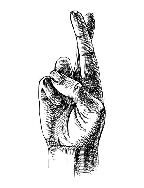 Fingers Crossed Stock Illustrations 1338 Fingers Crossed Stock