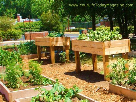 For wheelchair access, beds should be 24 inches tall. Nice and high | Raised garden beds | Pinterest