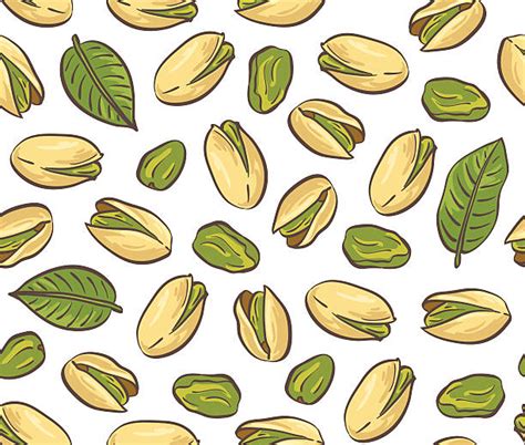 pistachio illustrations royalty free vector graphics and clip art istock