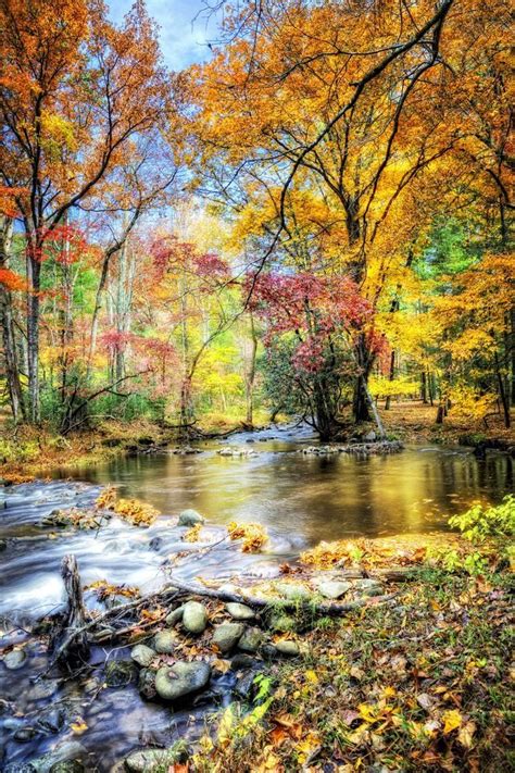 Autumn In The Smoky Mountains Gatlinburg Tennessee Autumn Scenery