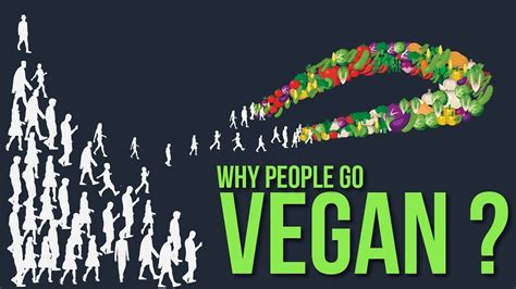 Why People Go Vegan Things You Need To Know About Veganism Youtube