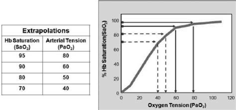 Oxygen Hemoglobin Dissociation Curve There Is A Nonlinear Relationship