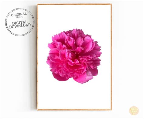 Hot Pink Peony Wall Art Printable Floral Poster Magenta Peonie Etsy