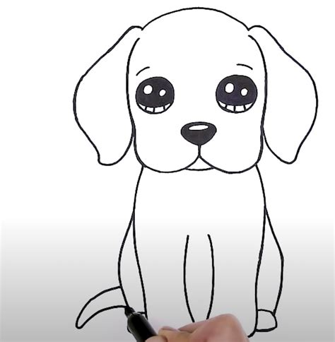 Learn To Draw A Beagle Easy Step By Step Guide For Beginners Rocky