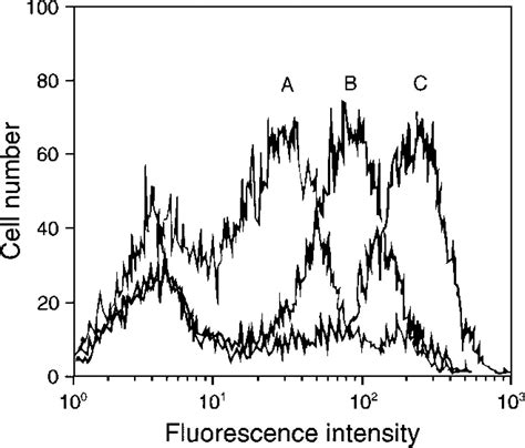 Quantitative Comparison Of Long Wavelength Alexa Fluor Dyes To Cy Dyes