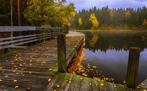 Wallpaper 1920x1200 Px Fall Fence Forest Lake Landscape Leaves