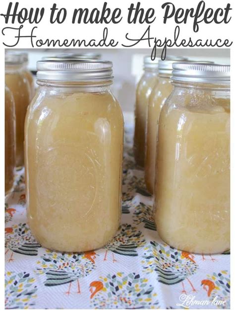 Easy Homemade Applesauce Recipe With Canning And Freezing Tips Lehman Lane
