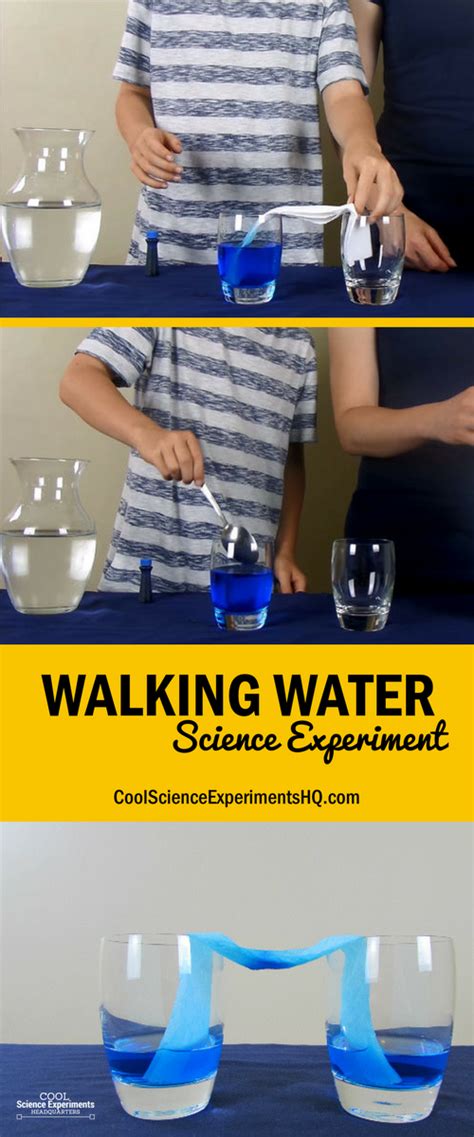Walking Water Science Experiment
