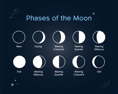 2024 Moon Phase Calendar With Moon Phases In Order Auria Sascha