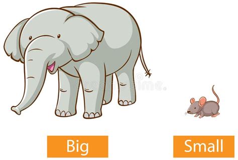 Opposite Adjectives Words With Big And Small Stock Vector