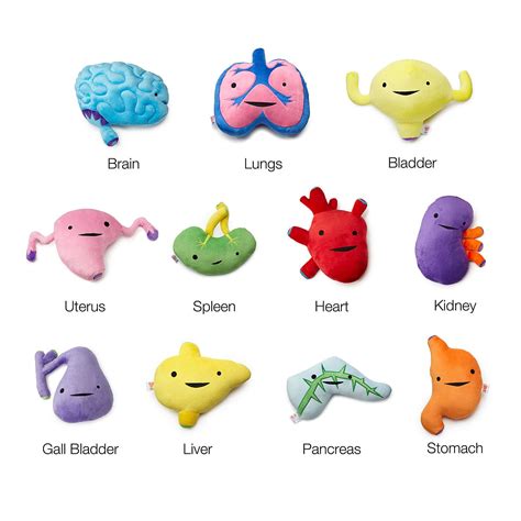 Plush Organs The Best Geek Ts On Earth Because Science Popsugar