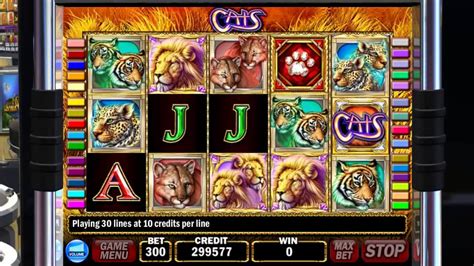 Igt Slots Cats Gameplay Nice Win 3850 Youtube