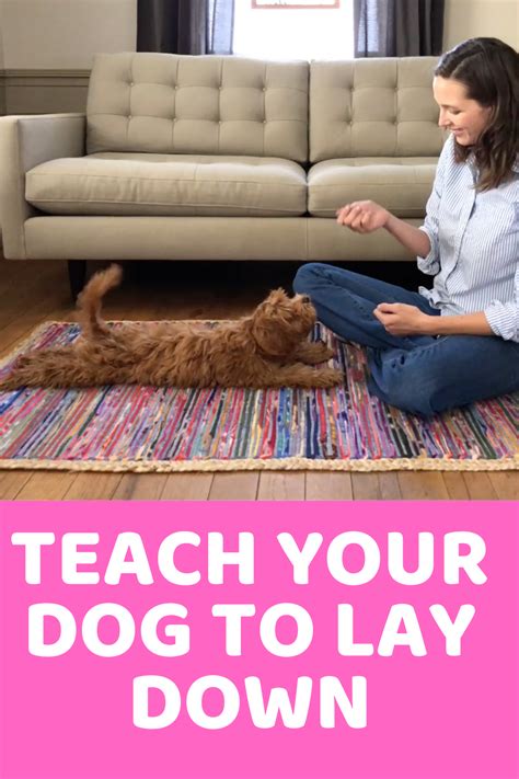 Easily Teach Your Dog To Lay Down Dog Training Advice Training Your