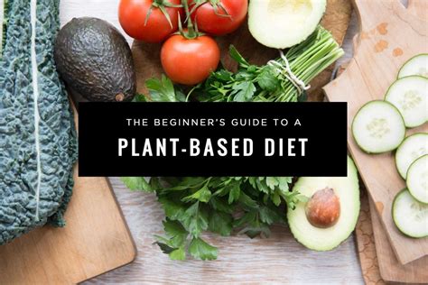 The Beginner S Guide To A Plant Based Diet Simple Green Smoothies