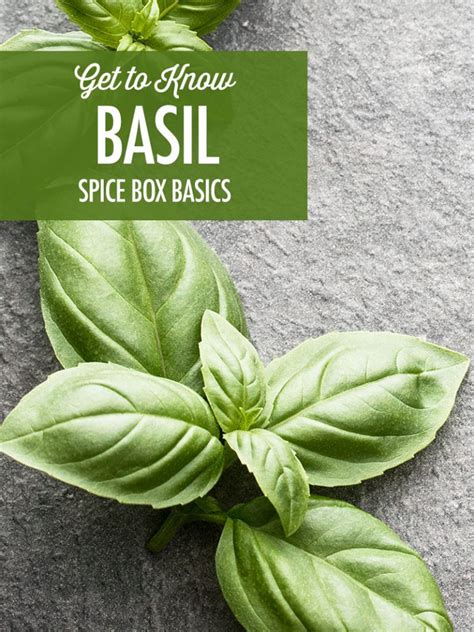 The Spice Box Getting To Know Basil Food Bloggers Of Canada
