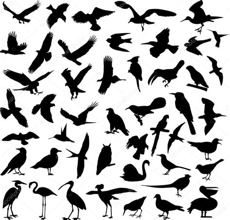 Big Collection Of Birds Vector Premium Vector In Adobe Illustrator Ai