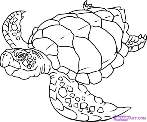 Printable coloring pages for kids of all ages. Sea turtle coloring pages to download and print for free