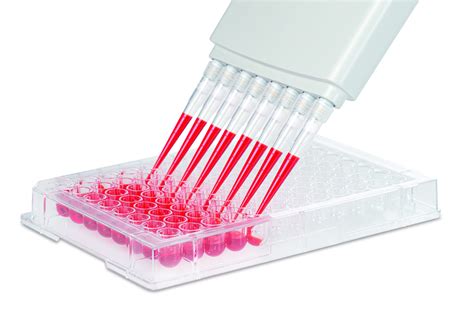 Cell Culture Plate