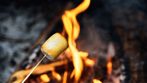 How To Roast The Most Perfect Marshmallow In The World