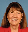 Congresswoman Ann Kirkpatrick Takes A Leave Of Absence For Treatment ...
