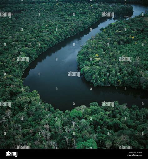 Aerial View Of Amazon Rainforest In Amazonas State Venezuela Stock
