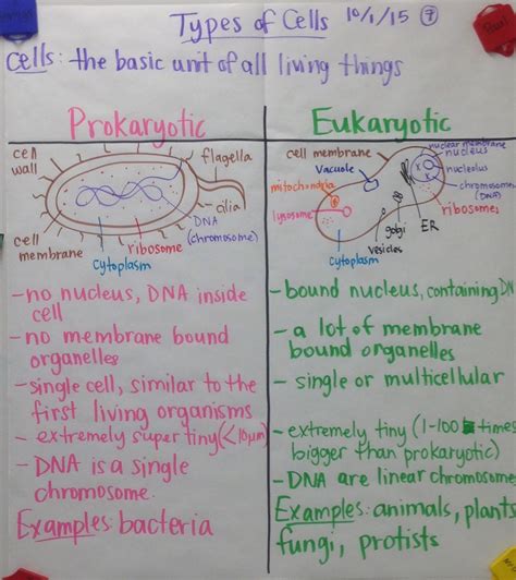 Mrs Paul Biology Biology Notes Charts