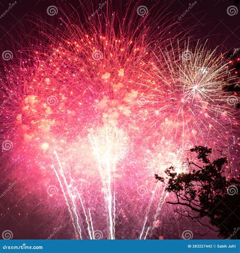 Colorful And Bright 4th Of July Fireworks Stock Photo Image Of